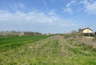 Teren Construcții intravilan de 4000 mp, în Adunații-Copăceni - 1