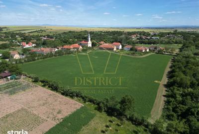 Teren de 16716 mp, în Traian Vuia - 2
