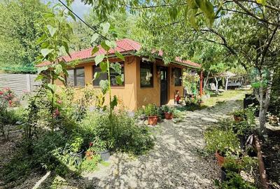 Casă cu 6 camere în Crivina - 2