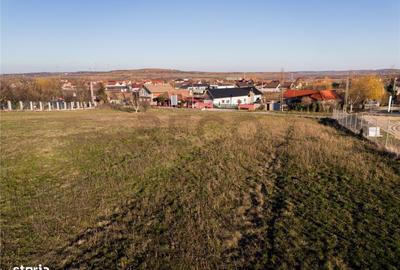 Spațiu comercial, în Biharia - 1