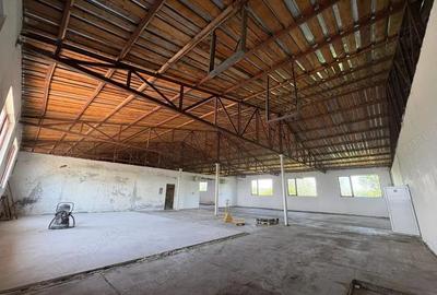 Vanzare complex industrial *hala 682 mp + teren 2,5 ha* - Tetila - 8