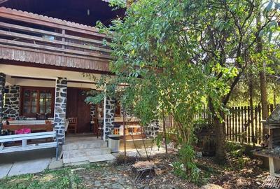 De Vanzare Casa si Cabana 74 ari Viille Satu Mare - 5