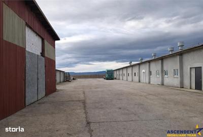 Spațiu comercial, de 800 mp, în Colonia Bod - 5