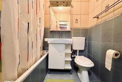 Apartament cu 3 camere semidecomandat, mobilat în Drumul Taberei - 10