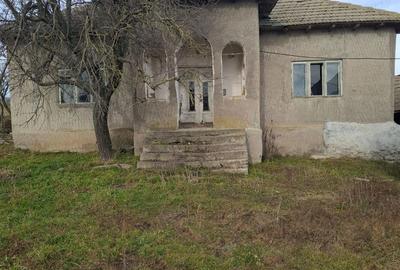 Casă cu 4 camere cu Teren 5000 Mp în Central - 4