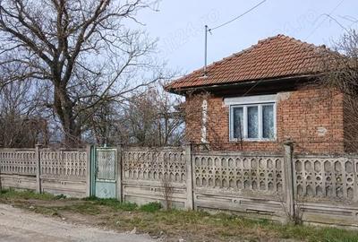 Casă cu 3 camere cu Teren 3222 Mp în Bretea Mureșană - 3