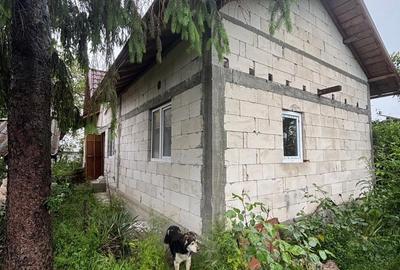 Casă cu 3 camere cu Teren 2000 Mp în Produlești - 4