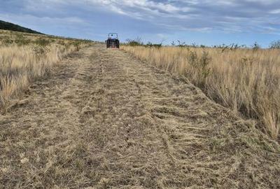 Teren de 1172 mp, în Freidorf - 2