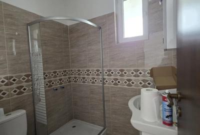 Casa Grigorescu Oradea - 2