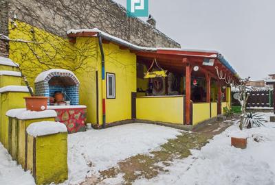 Casă individuală cu 4 camere cu Piscina în Pârneava - 8