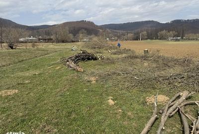 Teren de 3310 mp, în Central - 4