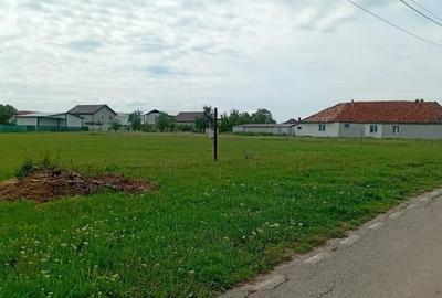 Teren de 1345 mp, în Aluniș