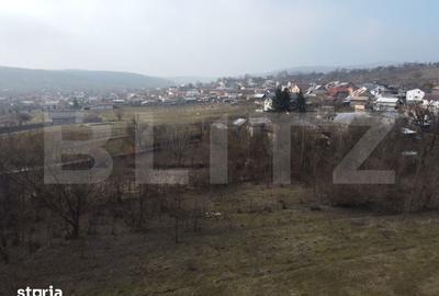 Teren de 3470 mp, în Ocnița - 12