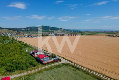 Teren Extravilan Sanpetru! Ideal pentru Investitie! - 9300 mp! - 1