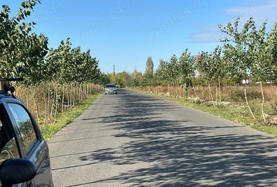 Titan - Policolor - str. Drum Gura Solcii, intravilan 3000 mp - 7