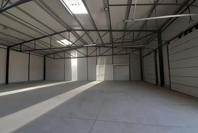 Doua hale lipite, total 1200mp, zona Drumul Intre Tarlale - 1