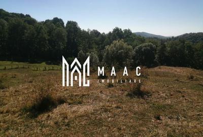 Teren Extravilan 20.000Mp I Stoenești -Vâlcea I Apă Curentă și Pădure - 4