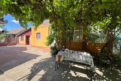 Casa individuala Varias apa centrala pe gaz canalizare 1500mp - 19