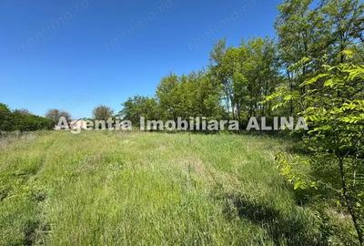 Teren de 941 mp, în Criș - 2