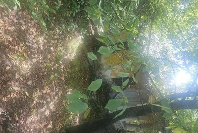 Teren de 1813 mp, în Mihăești - 7