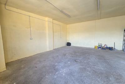 Spațiu industrial, de 360 mp, în Dudeștii Noi - 1