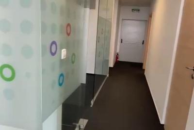 Comison ZERO birouri langa Iulus Town 222 mp cu terasa spre P-ta Consiliu Europe - 8