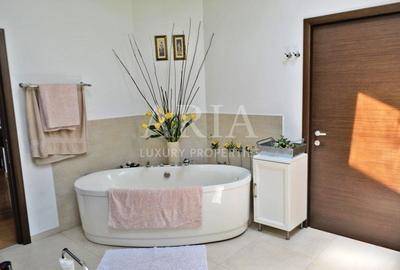 VILLA - PIPERA - PISCINA -CURTE - LANGA PADURE VILLA - PIPERA - PISCINA -CURTE - LANGA PADURE - 12