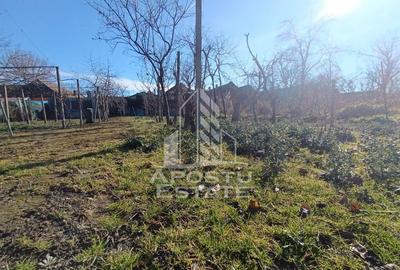 Casă cu 5 camere cu Teren 2158 Mp în Freidorf - 14