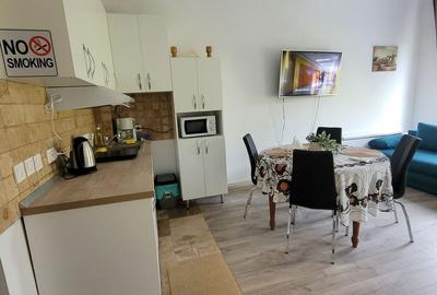 Garsonieră nedecomandată în Astra - 5