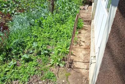 A 24 case 10000 mp teren Seciuieni Bacau - 8