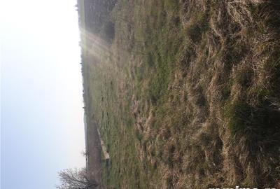 Teren de 2500 mp, în Călugăreni - 1