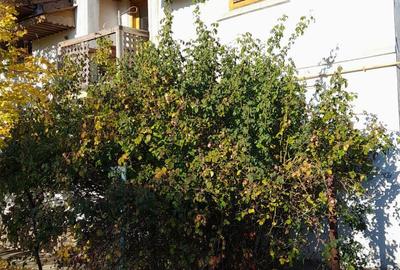 Casă cu 5 camere cu Teren 500 Mp în Mozăceni - 3