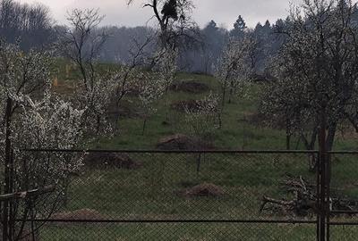 Casă cu 5 camere cu Teren 2200 Mp în Coșdeni - 9