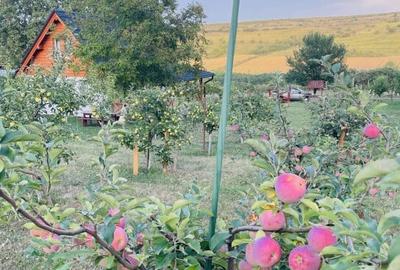 Casă cu 1 camere cu Teren 2499 Mp în Periferie - 6