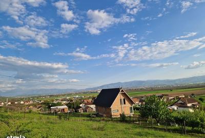 Teren de 1250 mp, în Șura Mare - 11