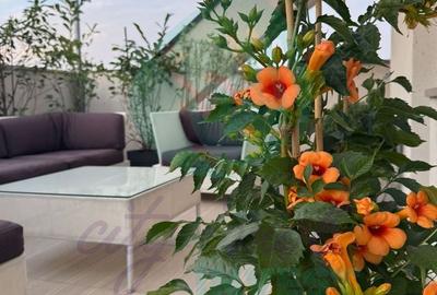 Apartament cu 3 camere decomandat, mobilat în Nerva Traian - 2