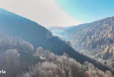 Spațiu comercial, în Schei - 14