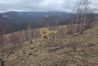 Teren de 2025 mp, în Rășinari