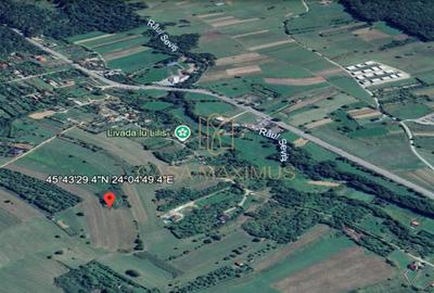 Teren Construcții intravilan de 6600 mp, în Rășinari - 1