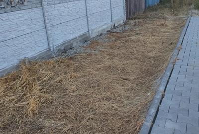 Vand casa com teslui sat deleni - 1