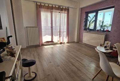 Apartament 2 camere mobilat Nicolae Grigorescu Apartament 2 camere mobilat Nicolae Grigorescu - 11