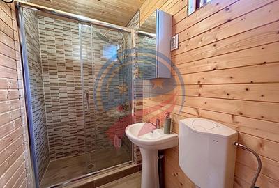 Casă cu 4 camere cu Teren 1640 Mp în Dubova - 18