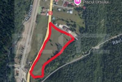 Teren de 9975 mp, în Predeal - 4