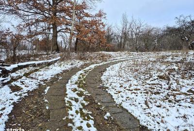 Teren de 5950 mp, în Scorțeni - 2