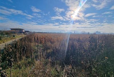 Teren intravilan de 3900 mp, în Nazna - 5