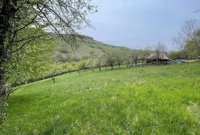 Casă cu Teren 15000 Mp în Bătrâna