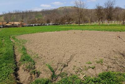 Casă cu 4 camere în Central - 2