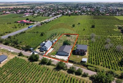 Casa sau Spatiu Dumbraveni langa DN E85 - 4