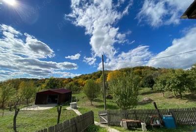Casă cu 3 camere cu Teren 3300 Mp în Stroești - 9