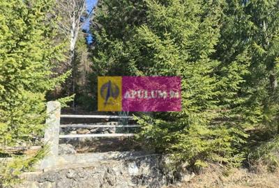 Teren de vânzare în Predeal - Zona Forban - 8